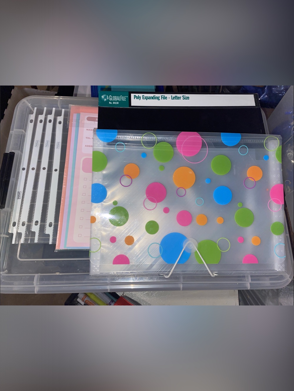 Polka Dot Clear Expanding File - Multicolor Document Organizer & other supplies